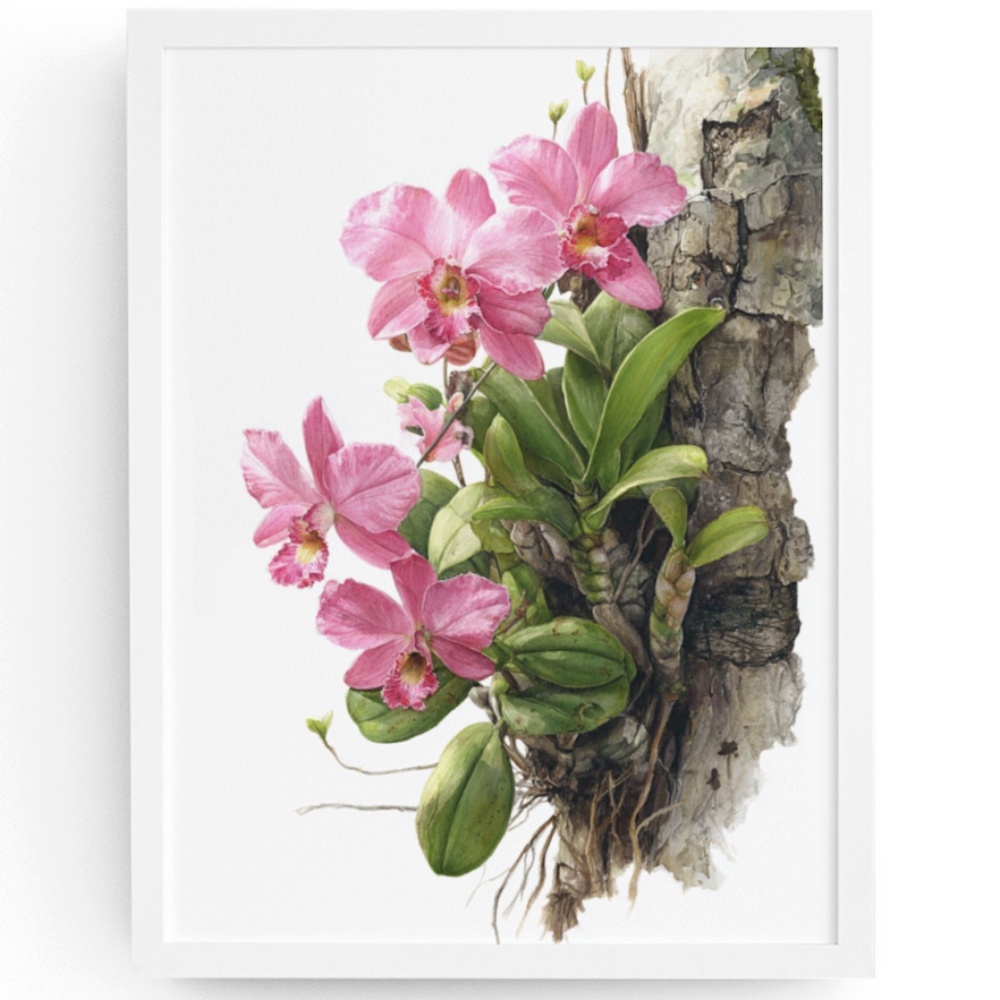 Watercolor Pink Orchids Wall Art Print Unframed - Elegant Floral Serenity